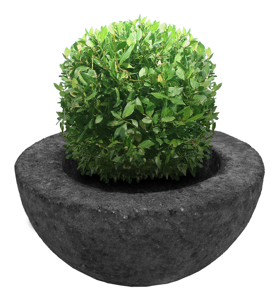 Maceta 1