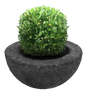 Maceta 1