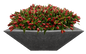 Maceta 3